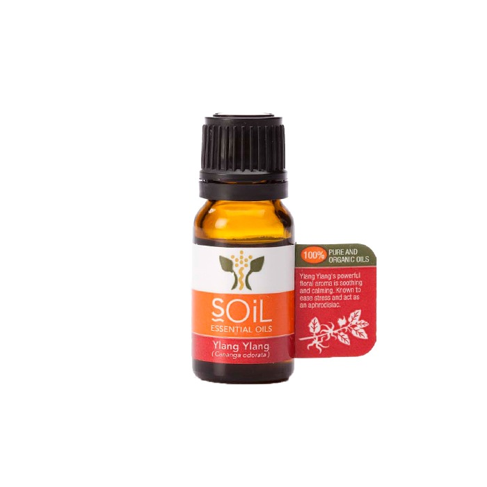 soil 所倚 ylang ylang 有机依兰依兰精油